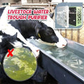 Horse Trough Water Purifier Cube